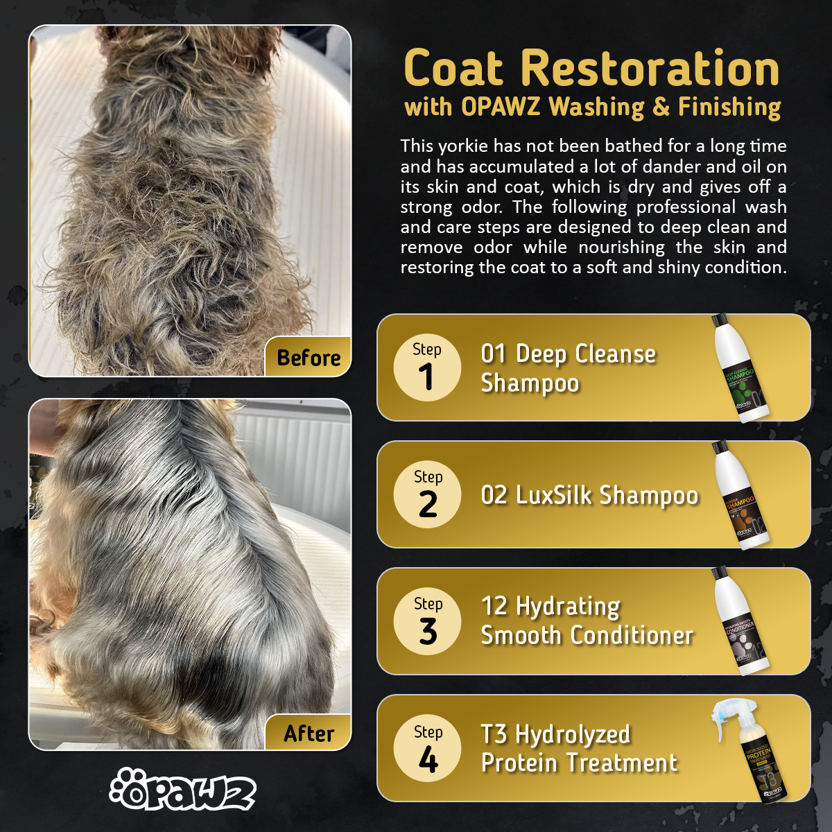 OPAWZ Hydrolyzed Protein Treatment (T3)