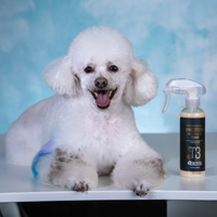 OPAWZ Hydrolyzed Protein Treatment (T3)