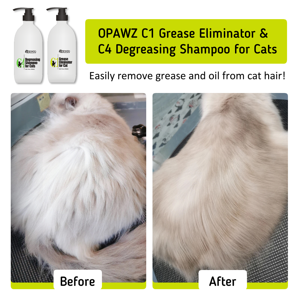 Degreasing shampoo for cats top