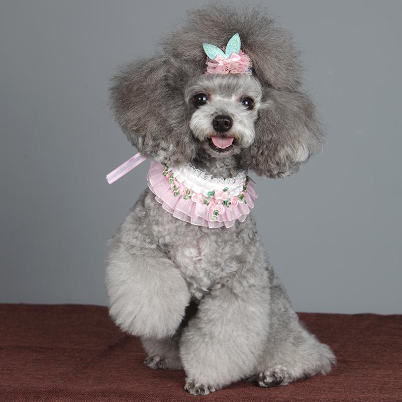 Pink White Lace Luxury Dog Collar A014 - Main Image