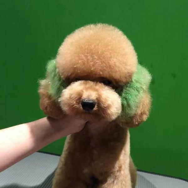 Pet Hair Chalk Green TC05