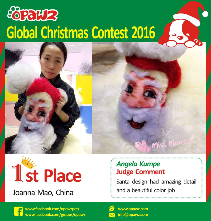 OPAWZ Global Christmas Contest 2016 Top 10 - Congratulations!