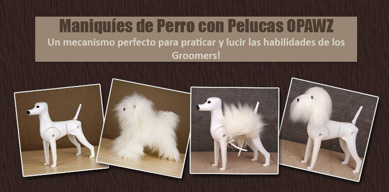 Maniquíes de Perro con Pelucas OPAWZ - Un mecanismo perfecto para praticar y lucir las habilidades de los Groomers!