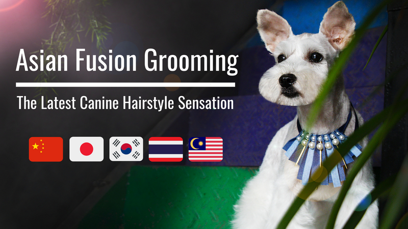 Asian fusion dog grooming