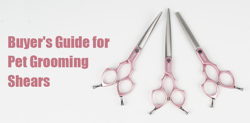 Dog Grooming Shears Buyer's Guide