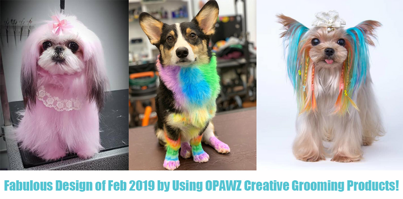 Fabulous Design of Feb 2019 by Using OPAWZ Creative Grooming Products!