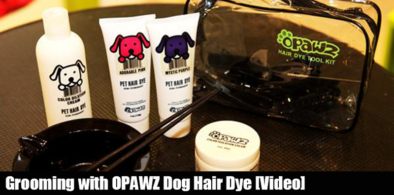 Grooming with OPAWZ Dog Hair Dye [Video]