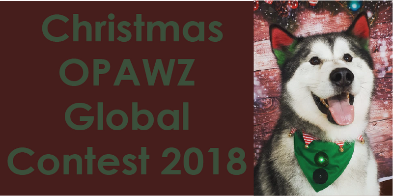 Amazing Designs of OPAWZ Christmas Global Contest 2018!