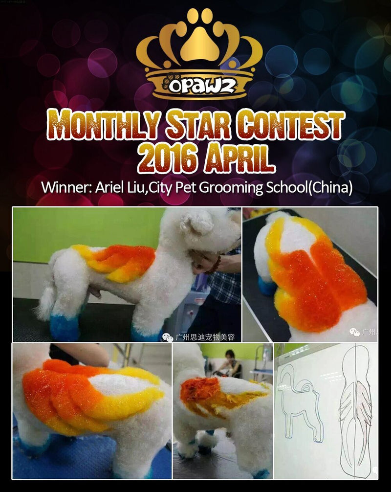 April Monthly Star – Congratulations!