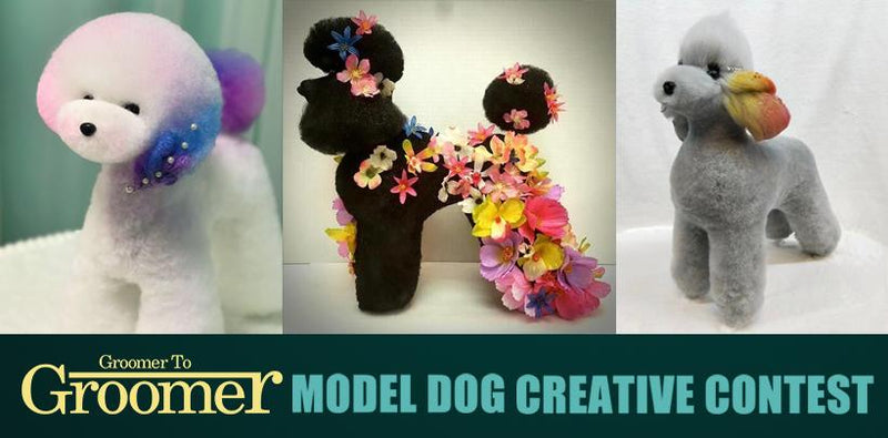 Model Dog Creative Grooming Contest