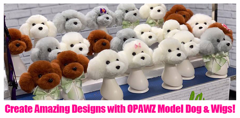 Create Amazing Designs with OPAWZ Model Dog & Wigs!