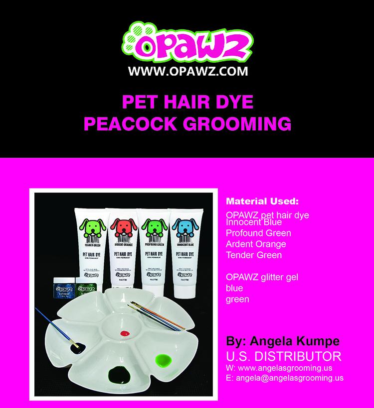 Dog Hair Dye: Peacock Style