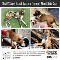 BUY 3 GET 1 FREE - Super Black (VP66)