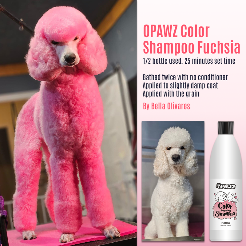 OPAWZ Funky Color Shampoo - Fuchsia - 500ml (FC08)