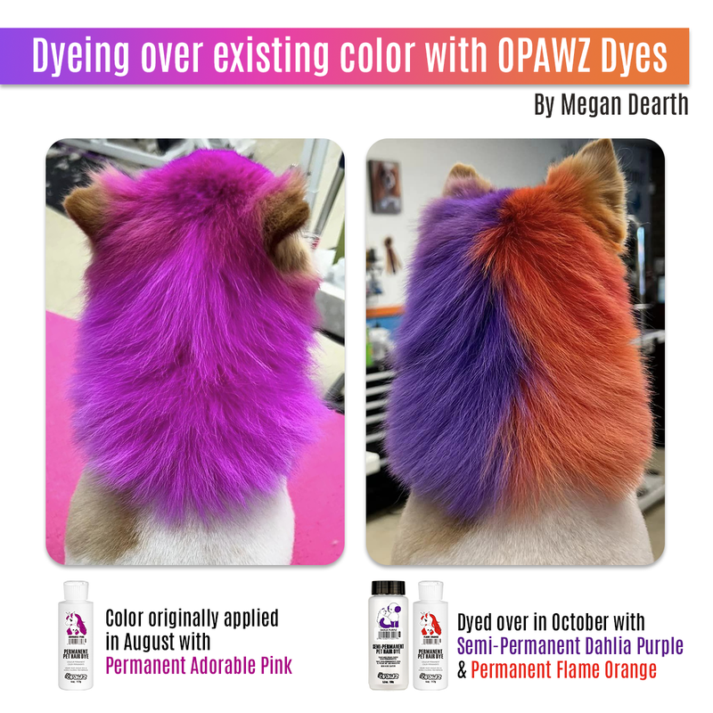 Dog Hair Dye - Flame Orange (PD18)