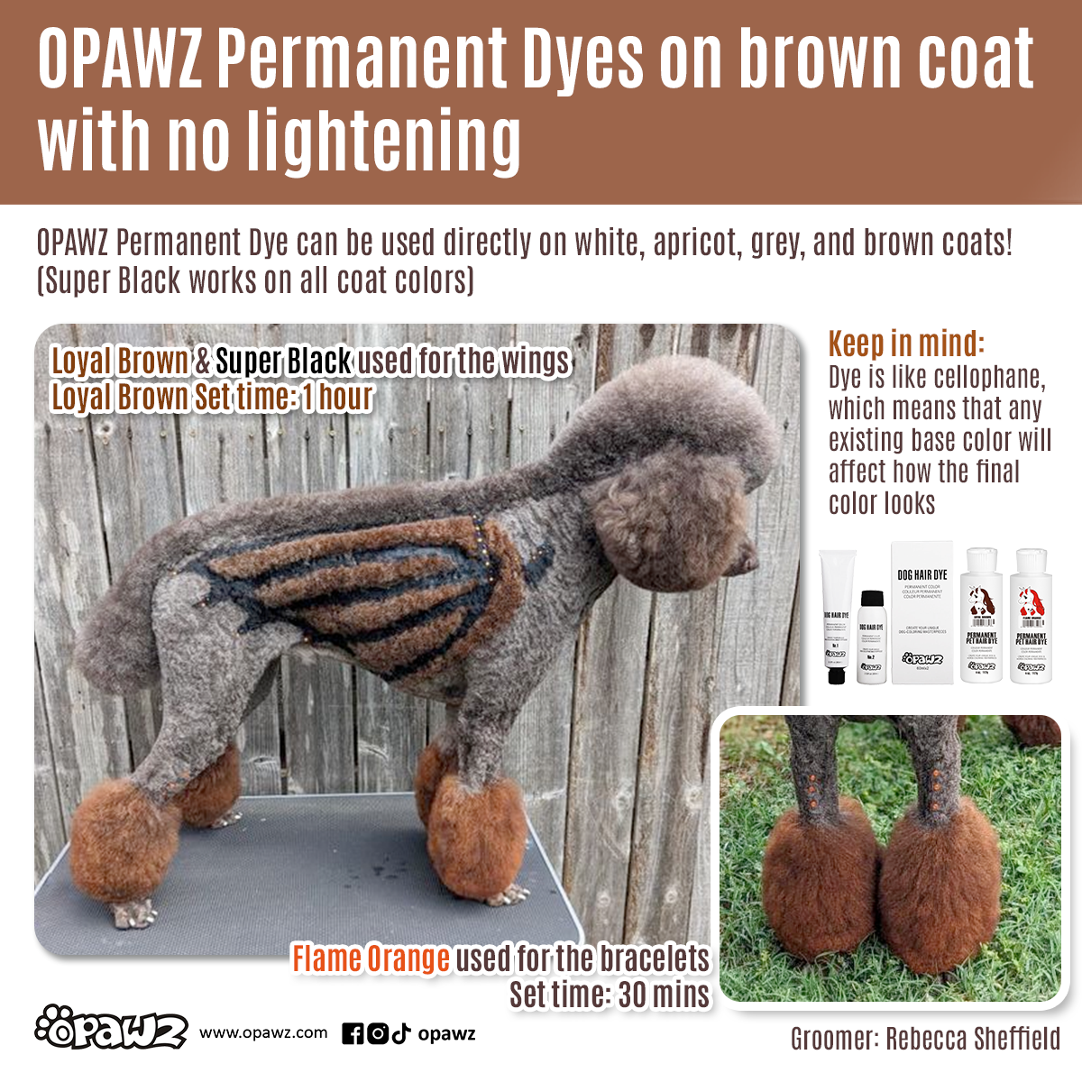 Dog Hair Dye - Loyal Brown (PD08) – OPAWZ Canada