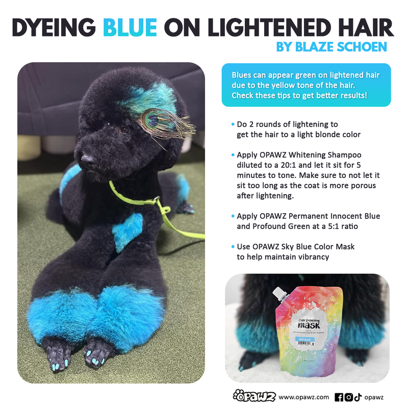Lightening Cream and Developer Value Pack (VP08)