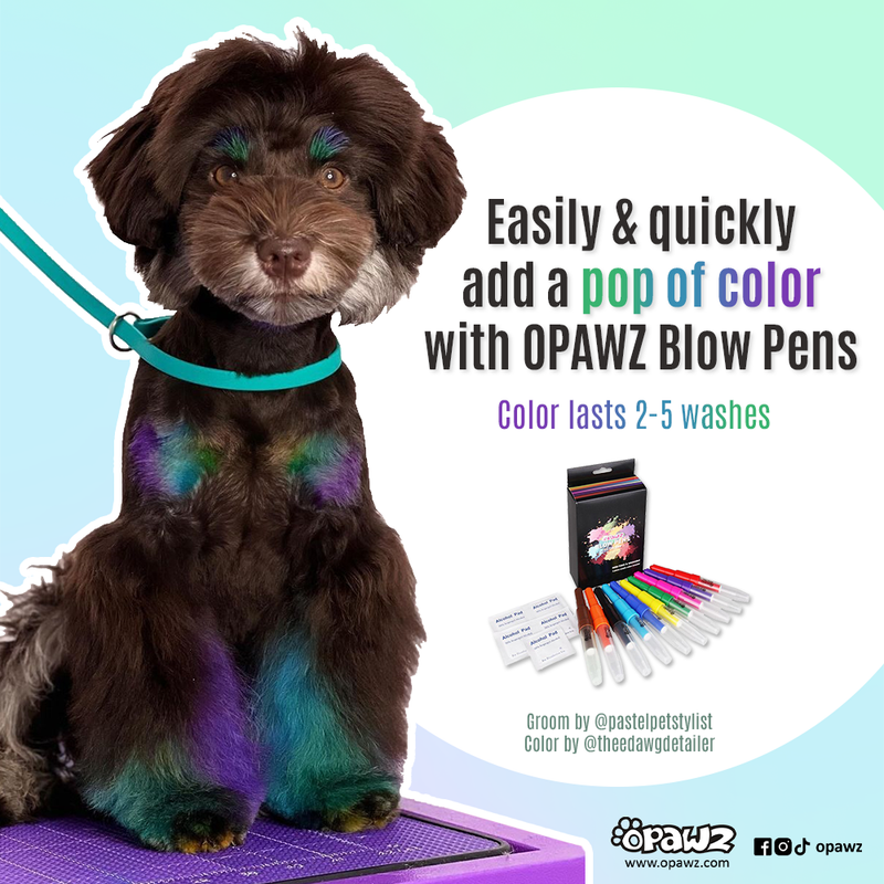 Blow pens for dogs sales