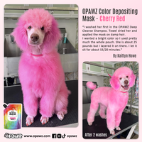 OPAWZ Color Depositing Mask - Cherry Red - 200ml (CM04)