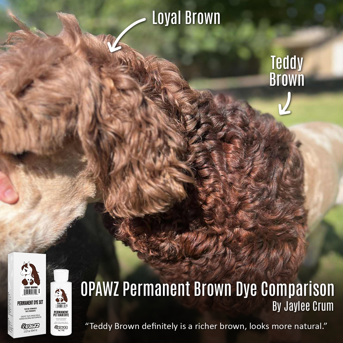 Dog Hair Dye-Teddy Brown (PD30)