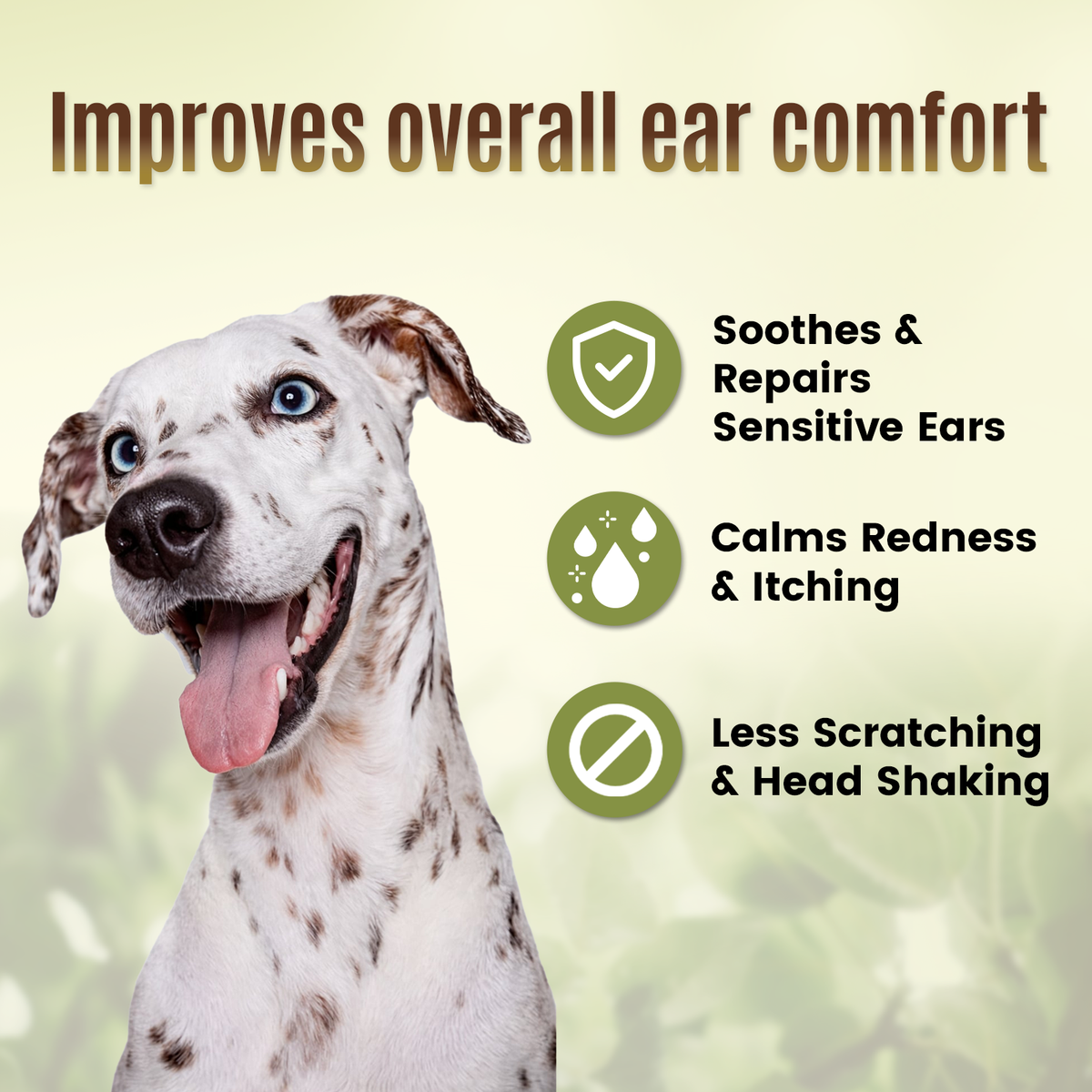 OPAWZ Botanical Ear Wash