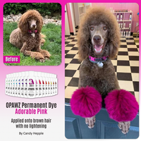 Dog Hair Dye - Adorable Pink (PD03)
