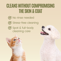 OPAWZ Botanical Foaming Cleanser