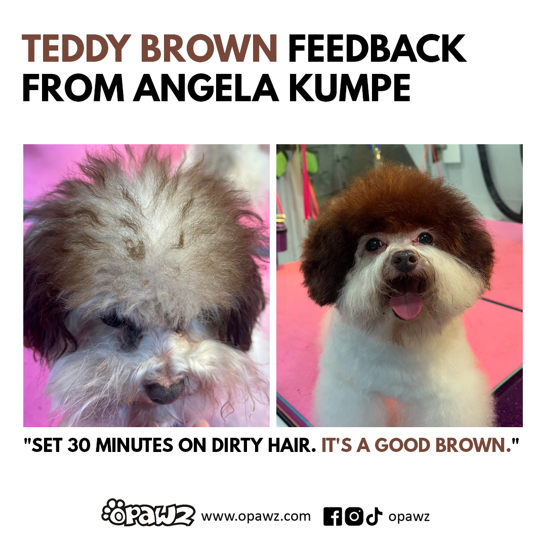 Dog Hair Dye-Teddy Brown (PD30)