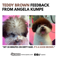 Dog Hair Dye-Teddy Brown (PD30)