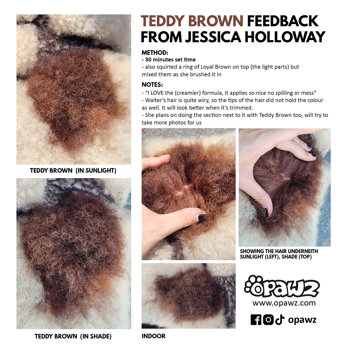 Dog Hair Dye-Teddy Brown (PD30)