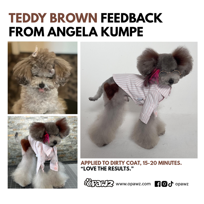 Dog Hair Dye-Teddy Brown (PD30)