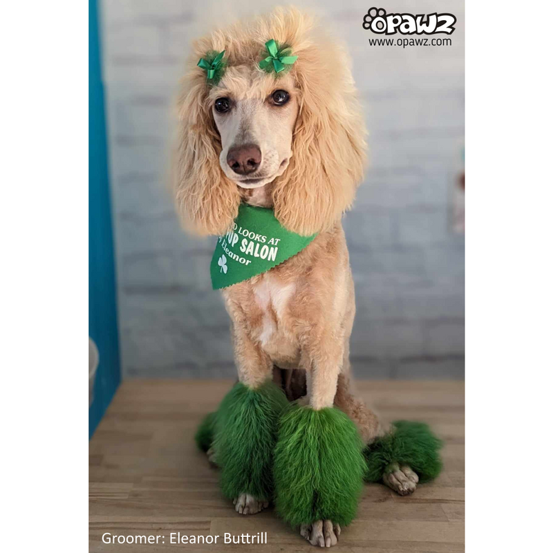 Dog grooming dye discount