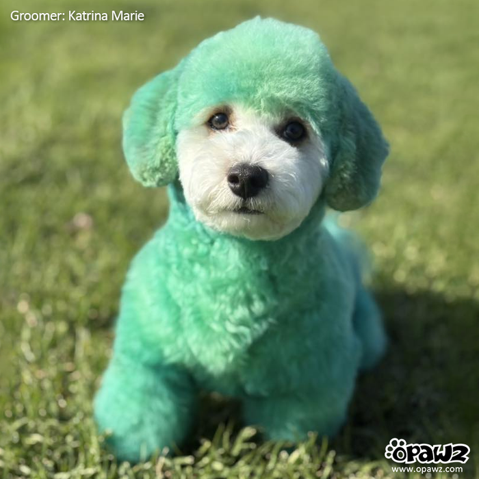 OPAWZ Color Depositing Mask - Lush Green - 200ml (CM05)