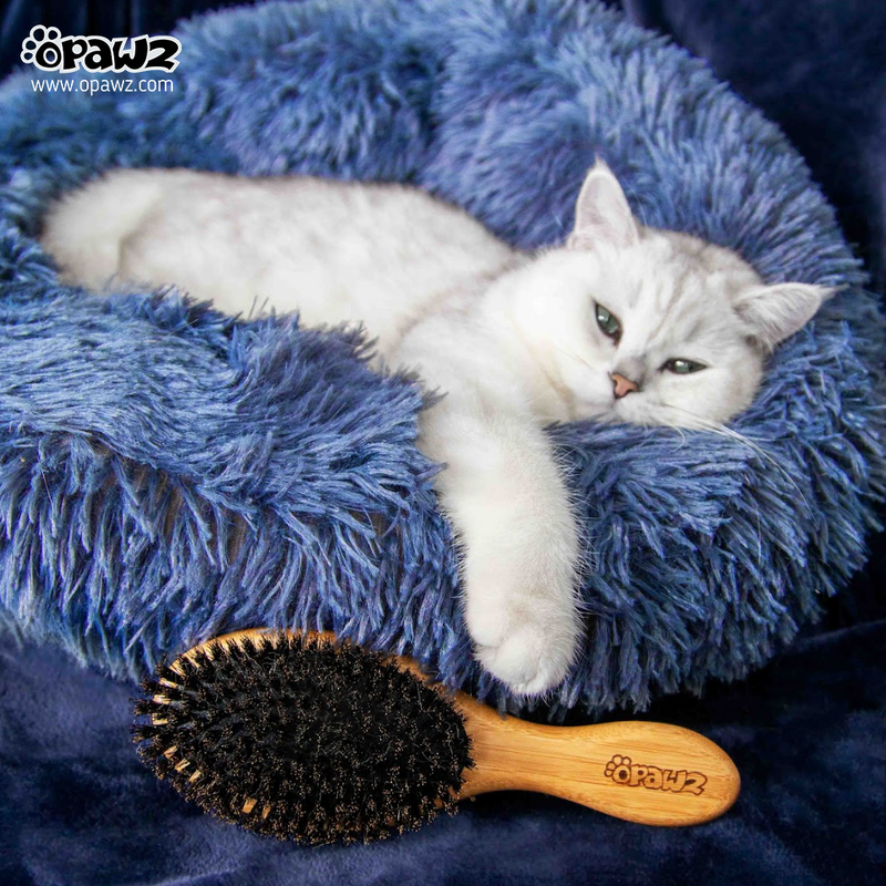 OPAWZ Boar Bristle Hair Brush GT30