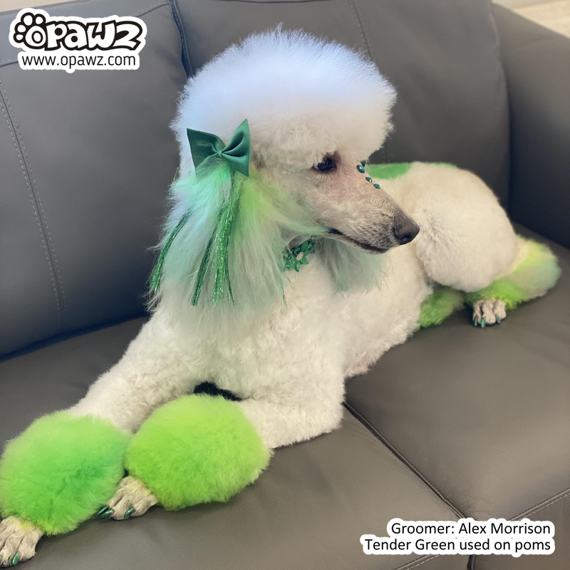 Dog Hair Dye - Tender Green (PD10)