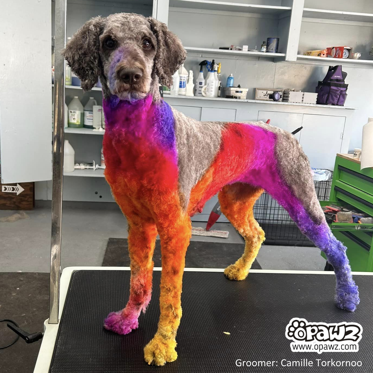 Sunset grooming sales