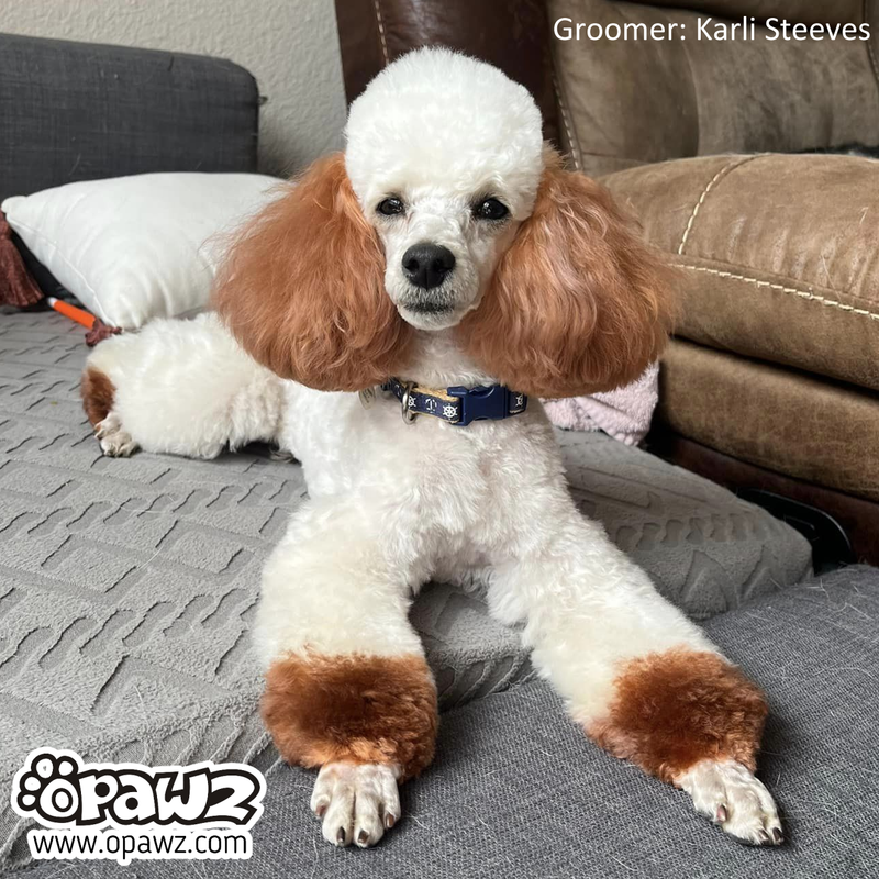 Natural dog hair clearance dye