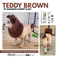 Dog Hair Dye-Teddy Brown (PD30)