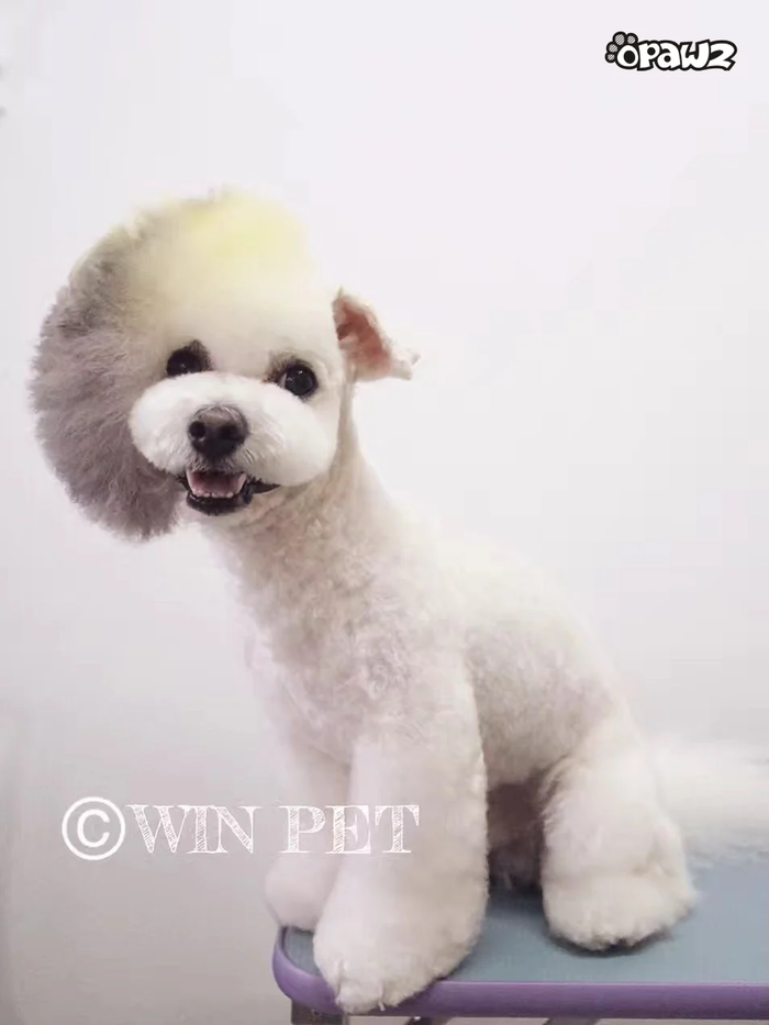 Pet Hair Chalk - Grey (TC11)