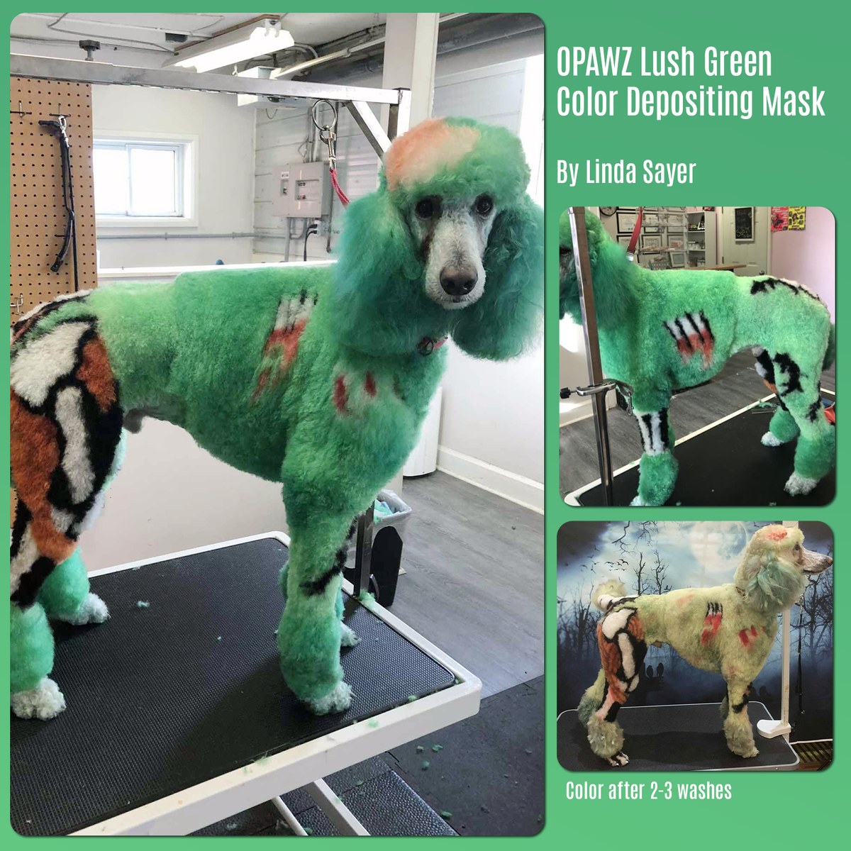 OPAWZ Color Depositing Mask - Lush Green - 200ml (CM05)