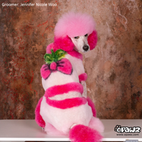 OPAWZ Color Depositing Mask - Cherry Red - 200ml (CM04)