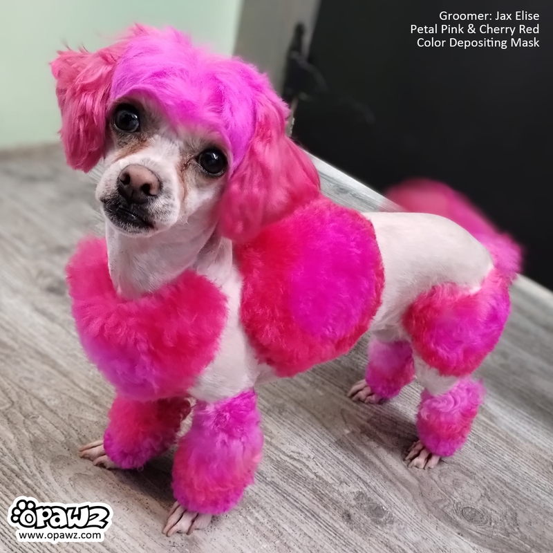 OPAWZ Color Depositing Mask - Cherry Red - 200ml (CM04)