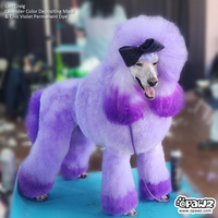 OPAWZ Color Depositing Mask - Lavender - 200ml (CM01)