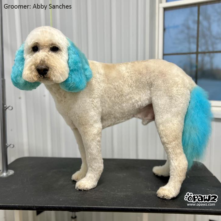 Semi-Permanent Dye - Hawaii Blue (SM01)