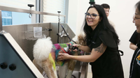 Creative Grooming Seminar & Workshop with Holly Baker