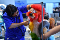 Creative Grooming Seminar & Workshop with Holly Baker