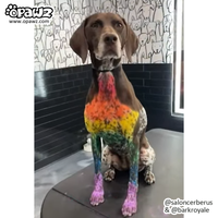 Rainbow Chalk Set (VP46)