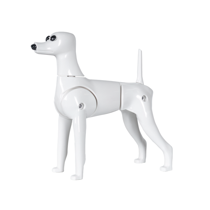 Toy Poodle Model Dog (MD01)