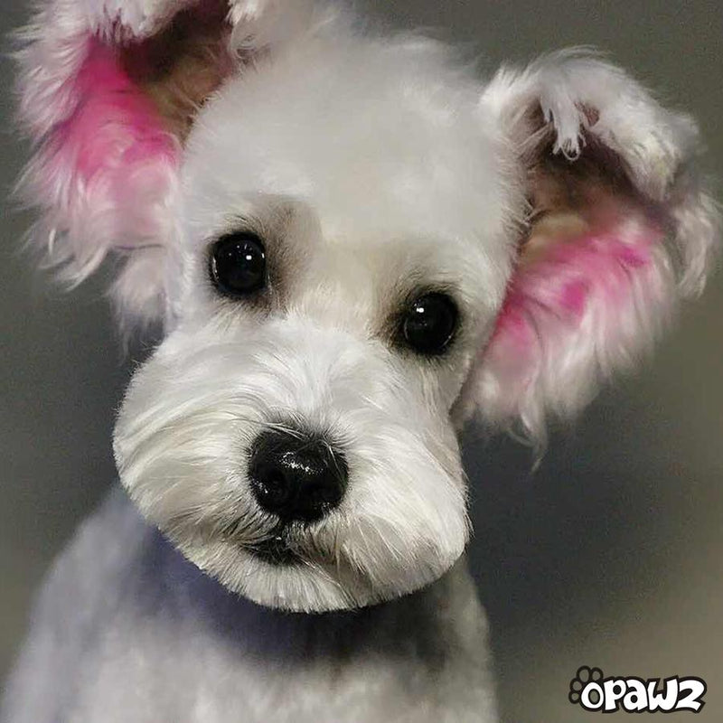 Pet Hair Chalk - Pink (TC01)