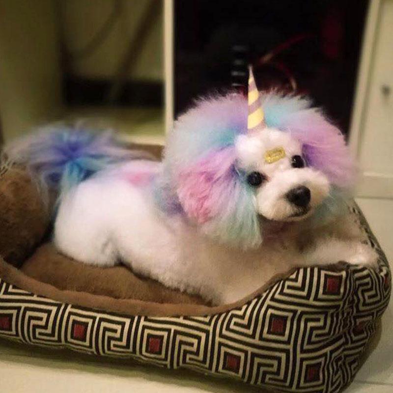 Pet Hair Chalk - Pink (TC01)